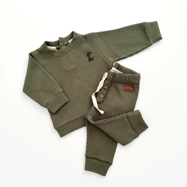 CONJUNTO PANAL VERDE PRADERA